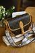 Сумка Louis Vuitton Diane Satchel Bag in Brown Monogram Coated Canvas 0359 фото 6