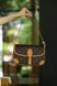 Сумка Louis Vuitton Diane Satchel Bag in Brown Monogram Coated Canvas 0359 фото 5