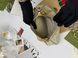 Сумка Gucci Ophidia Small Shoulder Bag with Strap in Beige and White GG Supreme Canvas with Gold Hardware 0556 фото 5