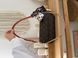 Сумка Louis Vuitton Wallet On Chain Ivy in Brown Monogram Coated Canvas/Gold Hardware 624 фото 5