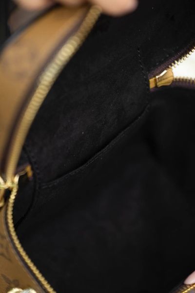Сумка Louis Vuitton Vanity PM Bag in Light Brown Monogram Reverse Coated Canvas 0358 фото