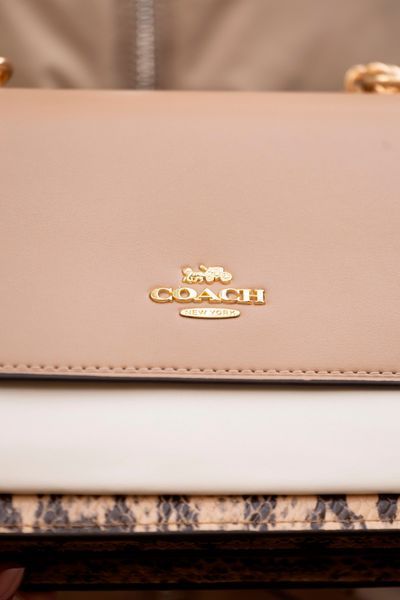 Сумка Coach Mini Klare Crossbody Bag in Multi Ivory/Chalk/Snake 0301 фото