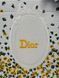 Сумка Christian Dior Medium Book Tote with Strap in Buttercup Dior Embroidery and White Dior M&eacute;daillon Premium 6387 фото 4