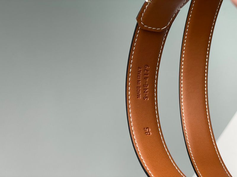Ремінь Celine Medium Triomphe Belt In Taurillon Leather Brown/Gold 66141 фото