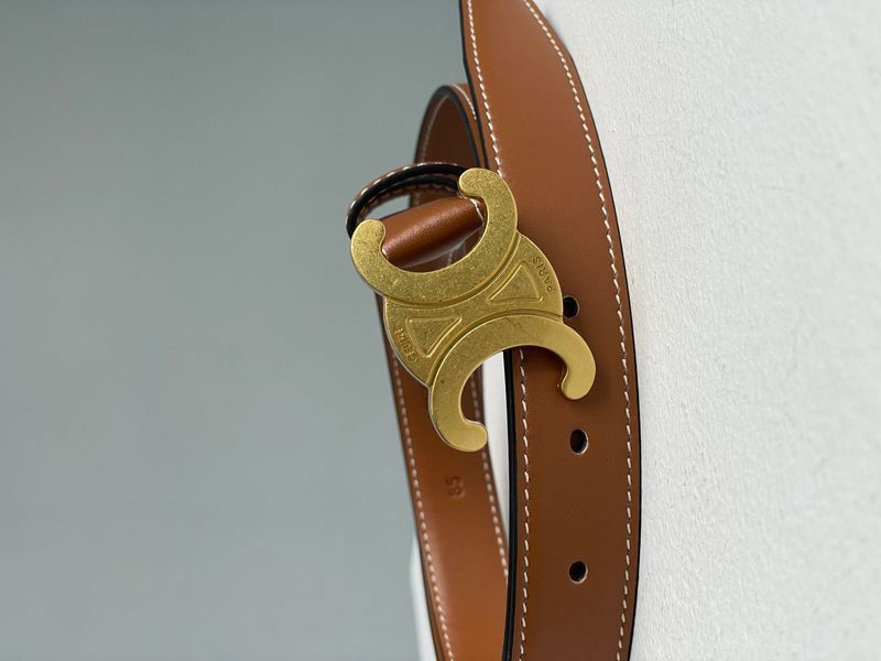 Ремінь Celine Medium Triomphe Belt In Taurillon Leather Brown/Gold 66141 фото