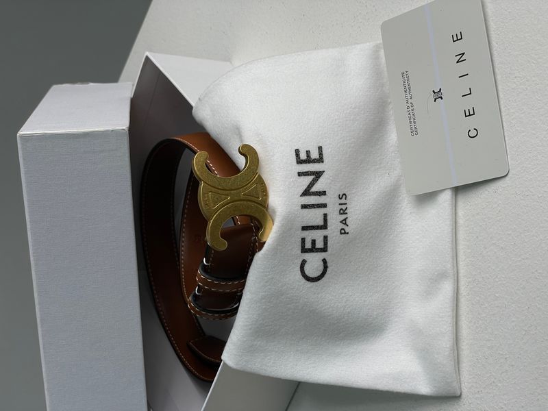 Ремінь Celine Medium Triomphe Belt In Taurillon Leather Brown/Gold 66141 фото