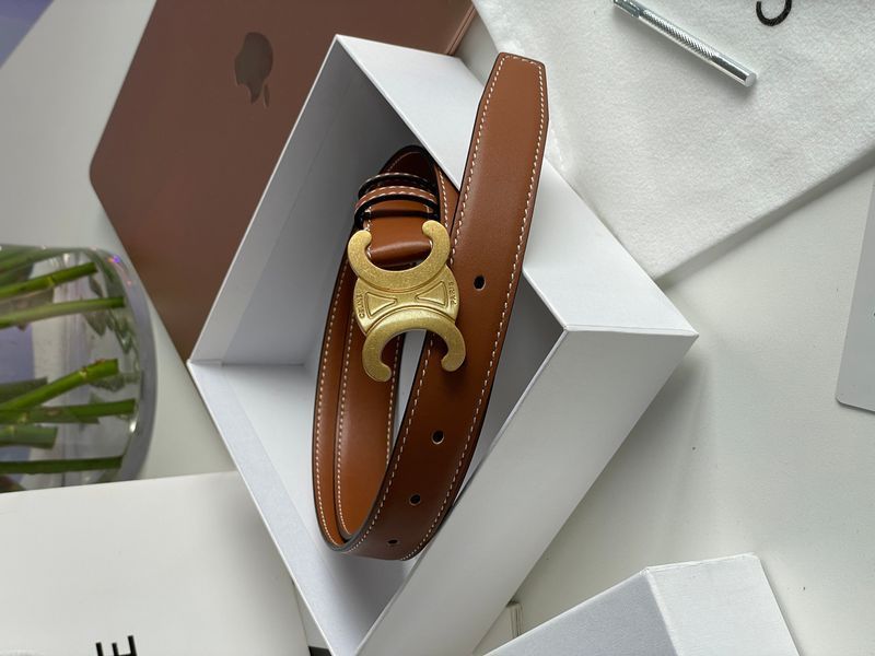 Ремінь Celine Medium Triomphe Belt In Taurillon Leather Brown/Gold 66141 фото