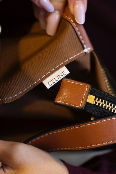 Сумка Celine Medium Ava Shoulder Bag in Triomphe Canvas and Calfskin Leather Brown/Tan 0308 фото