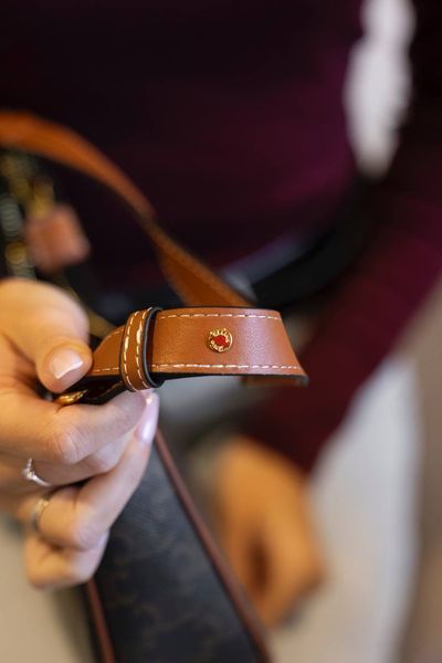 Сумка Celine Medium Ava Shoulder Bag in Triomphe Canvas and Calfskin Leather Brown/Tan 0308 фото