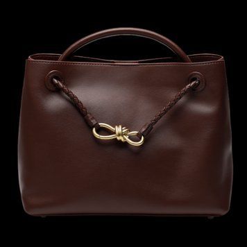 Сумка Bottega Veneta Andiamo Medium Leather Tote Bag in Brown 99639 фото