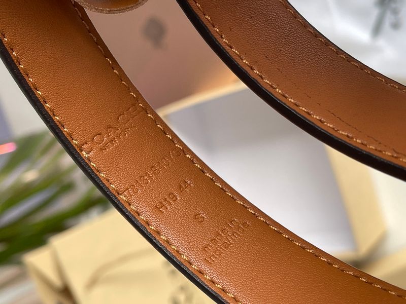 Ремінь Coach Sculpted C Buckle Belt Beige 66133 фото