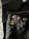 Сумка Chanel Chain Hobo Bucket Bag Black/Gold 9579 фото 6