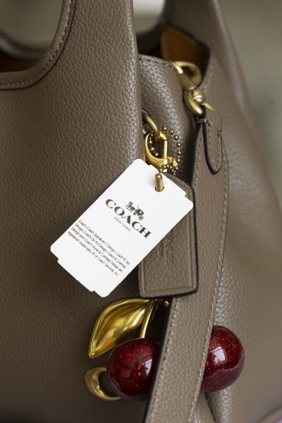 Сумка Coach Lana Shoulder Bag in Polished Pebble Leather Dark Stone 0511 фото
