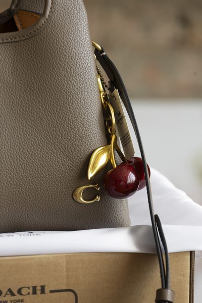 Сумка Coach Lana Shoulder Bag in Polished Pebble Leather Dark Stone 0511 фото