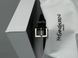 Ремінь Saint Laurent Belt 2.0 with Silver Buckle 66125 фото 3