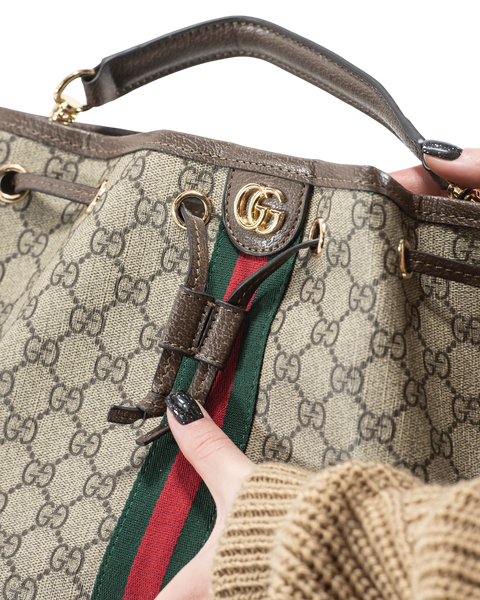 Сумка Gucci Ophidia Small Bucket Bag in Beige and Dark Brown New GG Monogram Coated Canvas 0412 фото