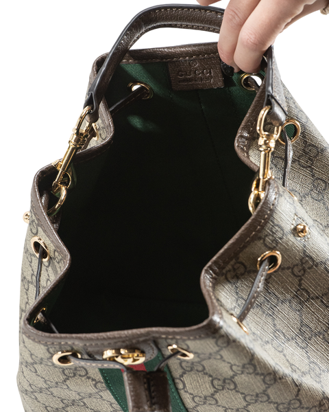 Сумка Gucci Ophidia Small Bucket Bag in Beige and Dark Brown New GG Monogram Coated Canvas 0412 фото