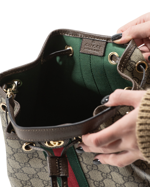 Сумка Gucci Ophidia Small Bucket Bag in Beige and Dark Brown New GG Monogram Coated Canvas 0412 фото
