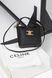 Сумка Celine Louise Small Bucket Bag in Black Smooth Calfskin/Gold Hardware 0423 фото 7
