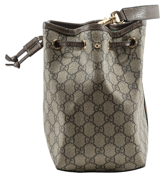 Сумка Gucci Ophidia Small Bucket Bag in Beige and Dark Brown New GG Monogram Coated Canvas 0412 фото