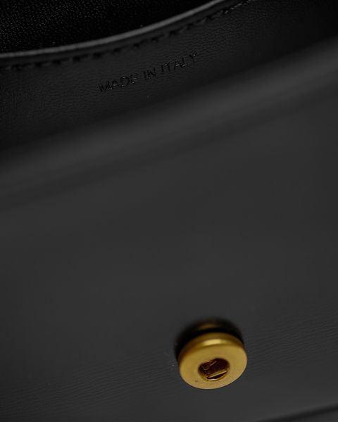 Сумка Celine Triomphe Mini Claude Crossbody Bag in Black Shiny Calfskin/Gold Hardware 99515 фото