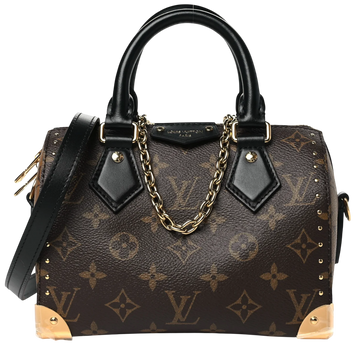 Сумка Louis Vuitton Speedy Trunk 20 in Monogram Reverse Canvas 7454 фото
