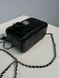 Сумка Chanel Classic Lambskin Pearl Crush Vanity Bag Black/Silver 99367 фото 5