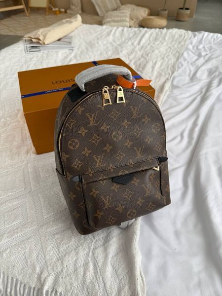 Рюкзак Louis Vuitton Palm Springs Mini Backpack PM Monogram Canvas 0103 фото