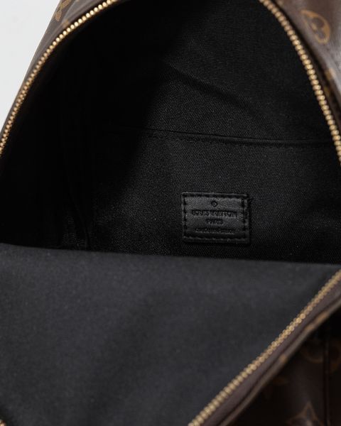 Рюкзак Louis Vuitton Palm Springs Mini Backpack PM Monogram Canvas 0103 фото