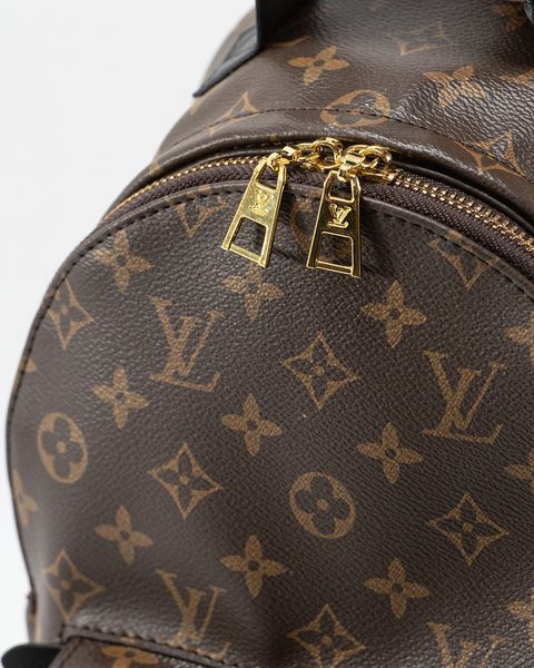 Рюкзак Louis Vuitton Palm Springs Mini Backpack PM Monogram Canvas 0103 фото