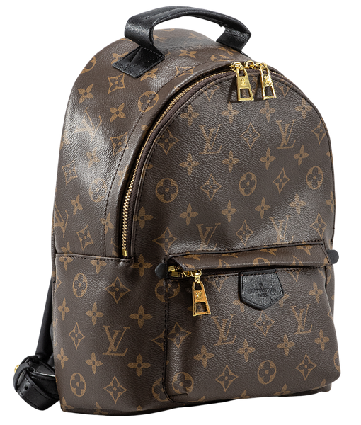 Рюкзак Louis Vuitton Palm Springs Mini Backpack PM Monogram Canvas 0103 фото