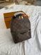 Рюкзак Louis Vuitton Palm Springs Mini Backpack PM Monogram Canvas 0103 фото 9