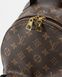 Рюкзак Louis Vuitton Palm Springs Mini Backpack PM Monogram Canvas 0103 фото 4