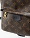 Рюкзак Louis Vuitton Palm Springs Mini Backpack PM Monogram Canvas 0103 фото 5