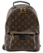 Рюкзак Louis Vuitton Palm Springs Mini Backpack PM Monogram Canvas 0103 фото 1