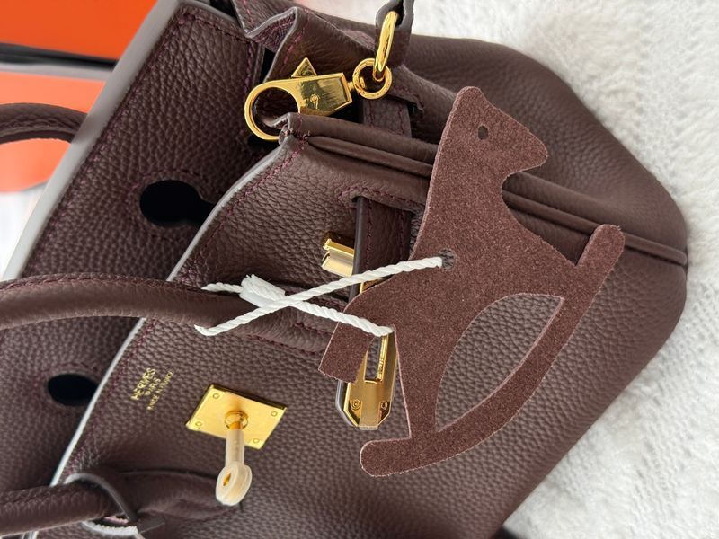 Сумка Hermes Birkin 20 in Chocolate Leather/Gold Hardware 8215 фото