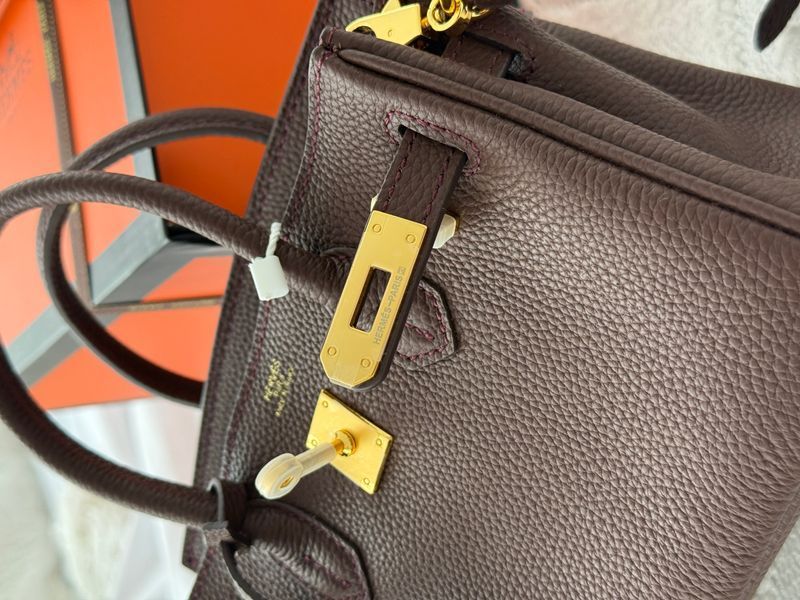 Сумка Hermes Birkin 20 in Chocolate Leather/Gold Hardware 8215 фото